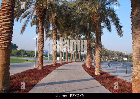 Musée des Arts Islamiques, Westbay, Doha, Qatar Banque D'Images