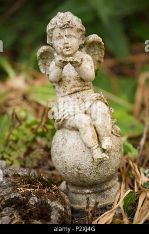 Petite figurine en pierre d'un chérubin ailé, Eros ou Cupidon blowing a kiss mis près d'un étang de jardin. North West Lancashire England UK GO Banque D'Images