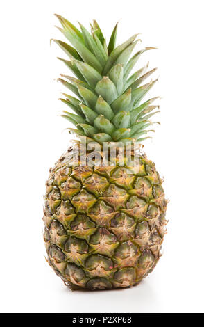 Un big Pineapple isolé sur fond blanc Banque D'Images