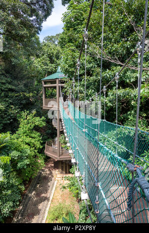 La forêt KL Eco Park Canopy Walk à Kuala Lumpur, Malaisie Banque D'Images