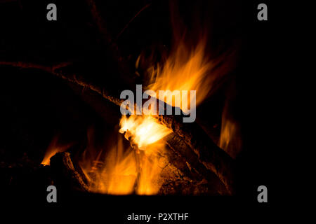 Bûches de camp et les branches en feu la nuit longue exposition close up Banque D'Images