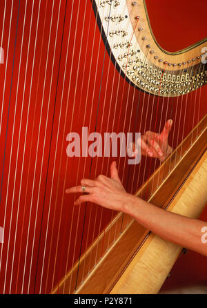 La lecture d'un harpiste harpe de concert faite par Obermeyer. Banque D'Images