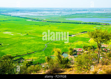 Belles rizières vert près de Phnom Krom Village, Siem Reap, Cambodge Banque D'Images