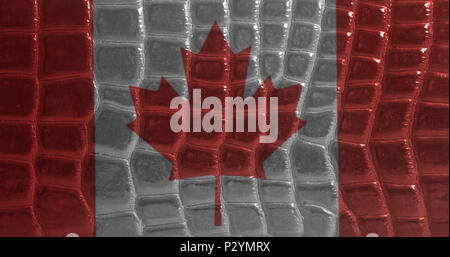 Drapeau du Canada sur un cuir peau de serpent texture background close up . Banque D'Images