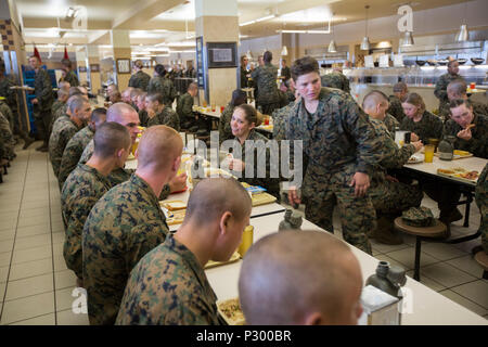 La nouvelle société de l'écho des Marines, 2e Bataillon d'instruction des recrues, et Papa Company, 4e Bataillon d'instruction des recrues, profitez d'un déjeuner des guerriers après avoir terminé le creuset, le 13 août 2016, sur l'Île Parris, L.C. (ce petit déjeuner était la récompense ultime après avoir terminé les 54 heures de l'événement culminant de la formation, permettant à la nouvelle Marines pour parler à leurs instructeurs de forage pour la première fois comme les autres marines. Les deux entreprises sont prévues pour le 19 août, 2016 études supérieures. Parris Island est le lieu d'entraînement des recrues du Corps des marines depuis le 1 novembre 1915. Aujourd'hui, environ 19 000 recrues proviennent de Parris Banque D'Images
