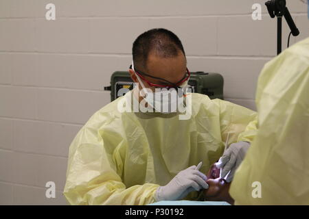 Le capitaine de la Garde nationale aérienne de l'Oregon Loc Vuu du 142e Groupe médical examine une bouche du patient au cours de l'événement bien-être du tricentenaire de Natchez, Mississippi le 2 août 2016. L'Oregon Air National Guard fait équipe avec d'autres gardes et les unités de réserve de l'armée et de la Marine de partout dans le pays à fournir sans frais des soins médicaux à la communauté environnante pour la préparation à l'événement de formation innovants conjointe. Bien-Être du tricentenaire est l'une des nombreuses missions de formation préparatoire à l'innovatrice visant à proposer des formations dans un environnement mixte civil-military tout en fournissant des soins médicaux à t Banque D'Images