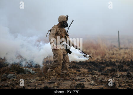 Un officier de sécurité du champ de gaz CS se répand au cours d'un champ de tir réel 18 août 2016, pour simuler une attaque chimique à Bradshaw Domaine Domaine de formation, Territoire du Nord, Australie. La gamme a été l'évolution de la formation finale de l'exercice, un Koolendong 16 exercice trilatéral entre le Corps des Marines, l'Australian Defence Force et Forces Armées Françaises Nouvelle Calédonie. Marines a tenu une position défensive tout en faisant participer les cibles et par l'intermédiaire du gaz CS. (U.S. Marine Corps photo par le Sgt. Sarah Anderson) Banque D'Images