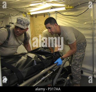 (À droite) de la réserve de l'Armée US CPS. Reinaldo Sanchez, un spécialiste des affaires mortuaires avec la 311e compagnie d'Intendance - les affaires mortuaires (MA), Puerto Rico, avec l'aide de collègues soldats assure des restes humains dans une glacière situé à l'intérieur d'un système intégré de collecte mobile demeure (MIRCS) au cours d'un exercice d'affaires mortuaires (MAX) à Fort Pickett, le 17 août, 2016. Réserve de l'Armée US (Photo par le Sgt. Quentin Johnson, 211e/MPAD) Parution Banque D'Images