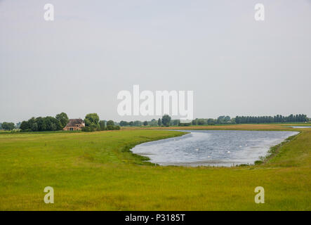 Rivière paysage avec ferme à Overijssel en Hollande Banque D'Images