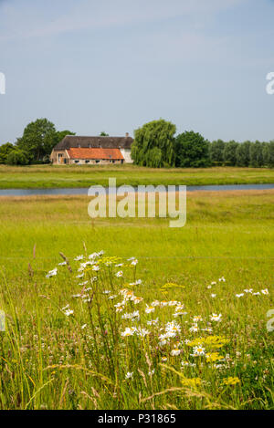 Rivière paysage avec ferme à Overijssel en Hollande Banque D'Images