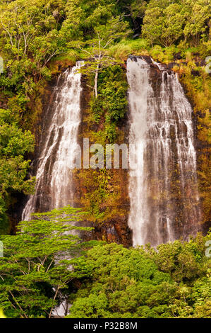 Opaeka'un tombe sur l'île de Kauai Hawaii. Banque D'Images