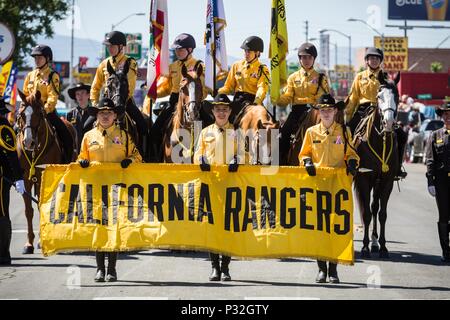 Reno, Nevada, USA. 16 Juin, 2018. Samedi, 16 juin, 2018.Le Reno Rodeo Parade se déplace le long de South Virginia Street, dans le centre-ville de Reno, Nevada. Le Reno Rodeo est un professionnel Rodeo Cowboys Association (PRCA) événement sportif sanctionné, et l'un des cinq meilleurs rodéos en Amérique du Nord. Reno Rodeo est une organisation sans but lucratif composée de plus de 1 000 bénévoles. Cette année, le rodéo, le 99e rapport annuel, se déroule du 14 au 23 juin 2018. Credit : Tracy Barbutes/ZUMA/Alamy Fil Live News Banque D'Images