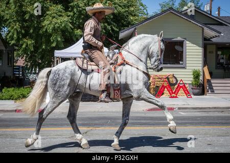 Reno, Nevada, USA. 16 Juin, 2018. Samedi, 16 juin, 2018.Un membre du groupe de chevaux Perez effectue au cours de la Reno Rodeo Parade dans midtown à Reno, Nevada. Le Reno Rodeo est un professionnel Rodeo Cowboys Association (PRCA) événement sportif sanctionné, et l'un des cinq meilleurs rodéos en Amérique du Nord. Reno Rodeo est une organisation sans but lucratif composée de plus de 1 000 bénévoles. Cette année, le rodéo, le 99e rapport annuel, se déroule du 14 au 23 juin 2018. Credit : Tracy Barbutes/ZUMA/Alamy Fil Live News Banque D'Images