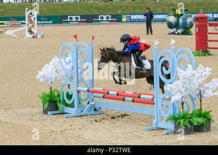 Bolesworth, Cheshire. Le 17/06/2018. Parc de la course de relais majeur Mini sur invitation. /AlamyLiveNews MediaWorldImages de crédit. Banque D'Images