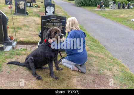 Warrington, Royaume-Uni, 17 juin 2018 - La Fête des pères - blonde mature dame se joint à beaucoup d'autres en plaçant des fleurs sur la tombe de leur défunt père. Fox Covert, Warrington, Cheshire, England, UK Crédit : John Hopkins/Alamy Live News Banque D'Images