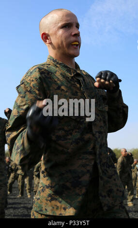 Une recrue de la Compagnie Mike, 3e Bataillon d'instruction des recrues, exécute un uppercut grève pendant un programme d'arts martiaux du Marine Corps à Marine Corps classe recruter Depot San Diego, le 31 août. L'un des buts de MCMAP est d'apprendre aux recrues comment vaincre l'ennemi en utilisant le combat corps à corps. Chaque année, plus de 17 000 hommes recrutés dans la région de recrutement de l'Ouest sont formés à MCRD San Diego. La Compagnie Mike est prévue pour novembre diplômés18. Banque D'Images