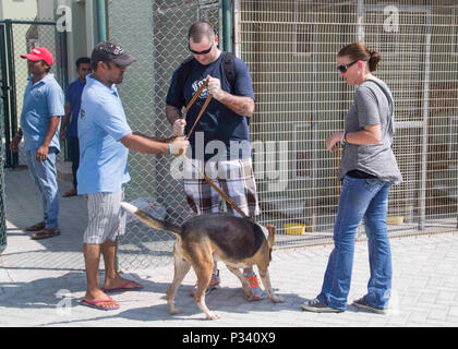 160826-N-GP524-070 Manama, Bahreïn (16 août 2000 26, 2016) Chef d'Controlman Botterbush Dommages Adam, centre, et Technicien de systèmes d'information en chef Christina Tourville, droit, attribué à missiles de l'USS Stout (DDG 55), sont accueillis par un travailleur au cours d'un projet de relations communautaires au Bahreïn Société pour la prévention de la cruauté envers les animaux (BSPCA). Stout, déployés dans le cadre du groupe aéronaval d'Eisenhower, appuie les opérations de sécurité maritime et les efforts de coopération en matière de sécurité dans le théâtre dans la 5e flotte américaine zone d'opérations. (U.S. Photo de la marine par la communication de masse Special Banque D'Images