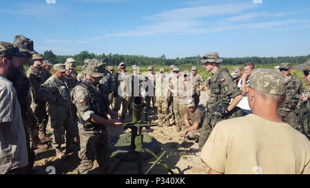 Les soldats polonais affectés à la 21e Brigade de tirailleurs Podhale instruisent les soldats ukrainiens dans la formation aux opérations de mortier au Centre international de maintien de la paix et de sécurité en Ukraine le 3 août 2016. La formation, qui fait partie du Groupe multinational conjoint de formation-Ukraine, améliore les capacités des forces terrestres ukrainiennes, renforce la coopération multinationale avec les forces de l’armée américaine, améliore l’interopérabilité, les compétences tactiques, l’état de préparation opérationnelle et démontre les efforts combinés de formation militaire en Europe. Banque D'Images