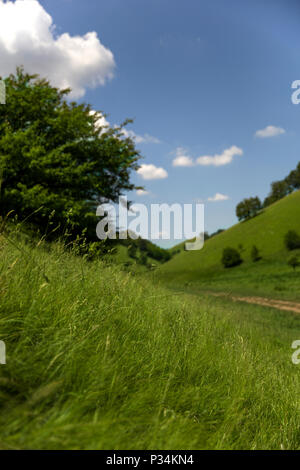 Zagajica hills en Serbie, beau paysage à un jour d'été Banque D'Images