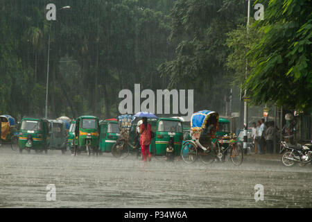 Les pousse-pousse et des véhicules sur la rue lors de fortes pluies. Dhaka, Bangladesh. Banque D'Images