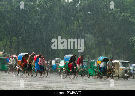 Les pousse-pousse et des véhicules sur la rue lors de fortes pluies. Dhaka, Bangladesh. Banque D'Images