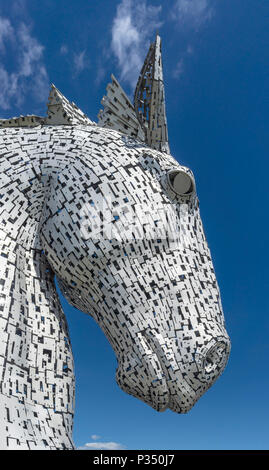 Tête de l'une des Kelpies mentionnés par le Forth & Clyde Canal à l'hélice dans le parc près de Falkirk en Écosse Grangemount UK Banque D'Images