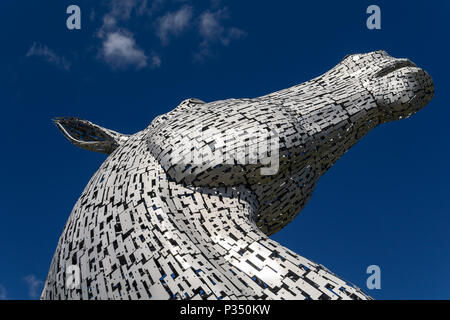 Tête de l'une des Kelpies mentionnés par le Forth & Clyde Canal à l'hélice dans le parc près de Falkirk en Écosse Grangemount UK Banque D'Images