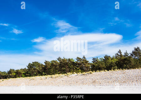 Dune à rives de la mer Baltique à Prerow, Allemagne. Banque D'Images