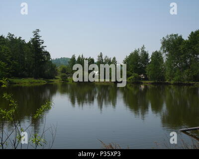Lac dans la forêt Banque D'Images