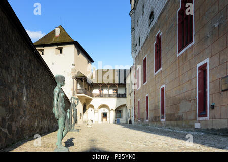 Zvolen (Altsohl) : château de Zvolen en Slovaquie, , Banque D'Images