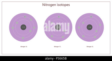 Les isotopes d'azote - structure atomique théorie physique des particules élémentaires Banque D'Images
