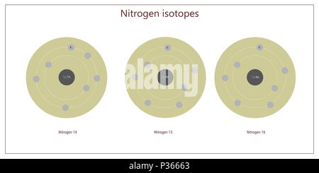 Les isotopes d'azote - structure atomique théorie physique des particules élémentaires Banque D'Images