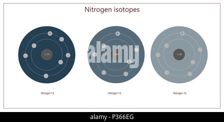Les isotopes d'azote - structure atomique théorie physique des particules élémentaires Banque D'Images