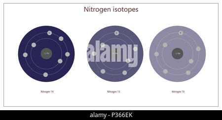 Les isotopes d'azote - structure atomique théorie physique des particules élémentaires Banque D'Images