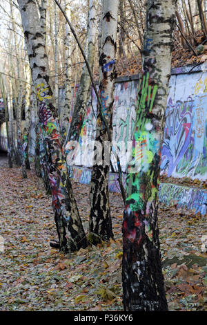 Berlin, Allemagne, bouleaux peintes de couleurs vives dans le Natur-Park Suedgelaende Banque D'Images