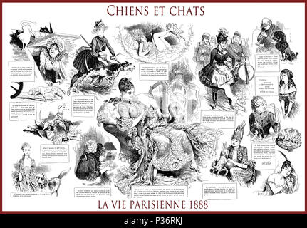 Magazine satirique français La vie Parisienne 1888, page centrale : Chiens et chats ( chiens et chats), les femmes, les chats, chiens, humour, caricatures, portraits Banque D'Images