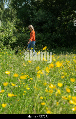 Une femme dans une chemise orange marche son chien dans un parc de Londres avec un champ de renoncules et fleurs jaune Banque D'Images