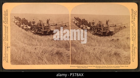 98 Évolution de la drépanocytose et un broyeur, 33 chevaux, la coupe, l'ensileuse et le battage du blé, limogeage Walla Walla, Washington, à partir de Robert N. Dennis collection de vues stéréoscopiques 4 Banque D'Images