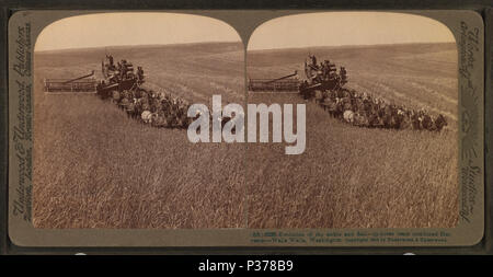 98 Évolution de la faucille et un broyeur, 33 l'équipe a combiné l'ensileuse, Walla Walla, Washington, à partir de Robert N. Dennis collection de vues stéréoscopiques 4 Banque D'Images