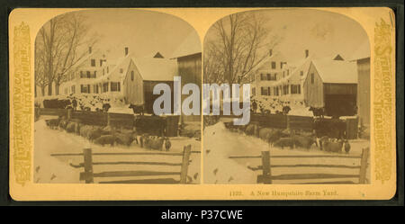 . Un nouveau Hampshire farm yard. Titre alternatif : Trésors stéréoscopique. Couverture : 1870 ?-1895 ?. Mentions légales Source : 1870 ?-1895 ?. Point numérique publié le 8-31-2005 ; mise à jour 2-13-2009. 12 UN NOUVEAU Hampshire farm yard, à partir de Robert N. Dennis collection de vues stéréoscopiques 2 Banque D'Images