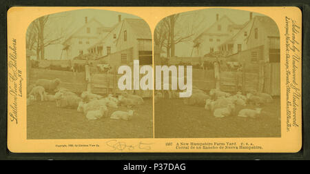 . Une cour du New Hampshire, États-Unis Date de publication : 1892. Référence : 1892. Mentions légales Source : 1870 ?-1895 ?. Point numérique publié le 8-31-2005 ; mise à jour 2-13-2009. 12 UN NOUVEAU Hampshire farm yard, U.S.A, à partir de Robert N. Dennis collection de vues stéréoscopiques Banque D'Images