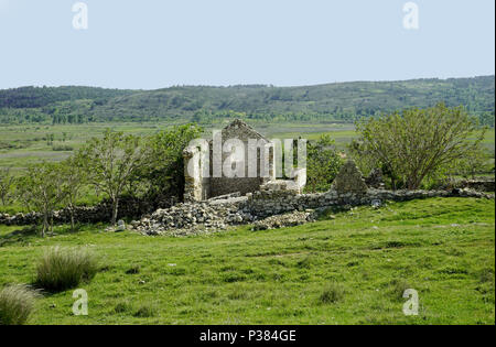 Ancienne maison en pierres tombées dans le domaine en vert, ruine de la nature Banque D'Images