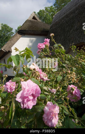 Vitt, Allemagne, thatched house dans le village de pêcheurs Vitt Banque D'Images