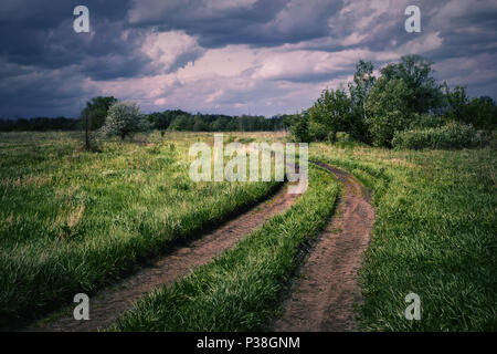 Route de campagne sinueuse dans un ciel nuageux en soirée. La route serpente à travers un champ avec de l'herbe verte sous un ciel nuageux. Paysage d'été. Banque D'Images