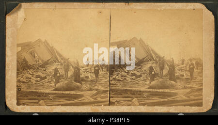 . Cheval au milieu des ruines. Titre alternatif : Vues de Grinnell, après de tornade le 17 juin 1882. no 36. Création : juin 1882.. Référence : juin 1882.. Mentions légales Source : juin 1882.. Point numérique publié le 6-15-2005 ; mise à jour 2-12-2009. 141 cheval au milieu des ruines, par Everett, James E., 1834- Banque D'Images