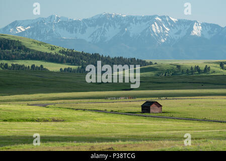 Ancienne grange sur l'Oregon est à la Prairie Zumwalt Wallowa montagnes en arrière-plan. Banque D'Images