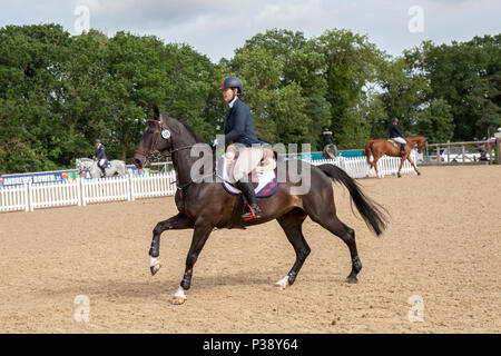 Bolesworth, Cheshire, Royaume-Uni. 20Th Oct, 2018. 505 Clare West Show équitation cavalier courageux de la concurrence (S21-CSIAm-A) à l'Bolesworth Écuyer International Horse Show. /AlamyLiveNews MediaWorldImages Crédit Banque D'Images