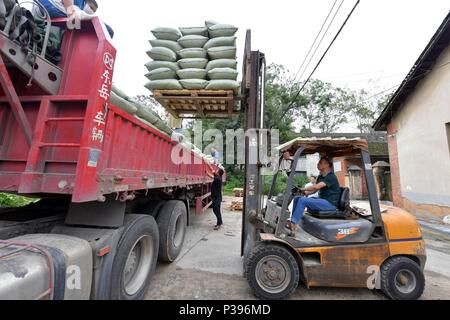 (180618) -- NANCHANG, 18 juin 2018 (Xinhua) -- le camion de Yujiang Zou est chargés de marchandises d'une usine à Qingdao, Chine du sud-est de la province de Fujian, le 13 juin 2018. Zou Yujiang, 41 ans, est un chauffeur de camion de Gao'an, Ville de la province de Jiangxi. Il a passé la majeure partie de son temps sur la route, le transport des marchandises d'un endroit à l'autre. Il y a eu plus de 21 millions d'employés dans l'industrie du transport routier de marchandises en Chine jusqu'à présent. Comme Zou Yujiang, la plupart d'entre eux vivent sur les chariots avec peu de temps d'un séjour avec les familles. Leur travaux ont contribué à la restauration rapide et re Banque D'Images