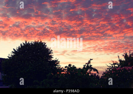 Gettorf, Allemagne. 17 Juin, 2018. Rouge, bloody Sunset over Gettorf, North-Germany © Björn Deutschmann/Alamy Live News Banque D'Images