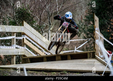 Vélo de montagne descente professionnel Tahnee Seagrave concurrentes dans le British National Downhill Series, Cwmcarn, au Pays de Galles. Banque D'Images